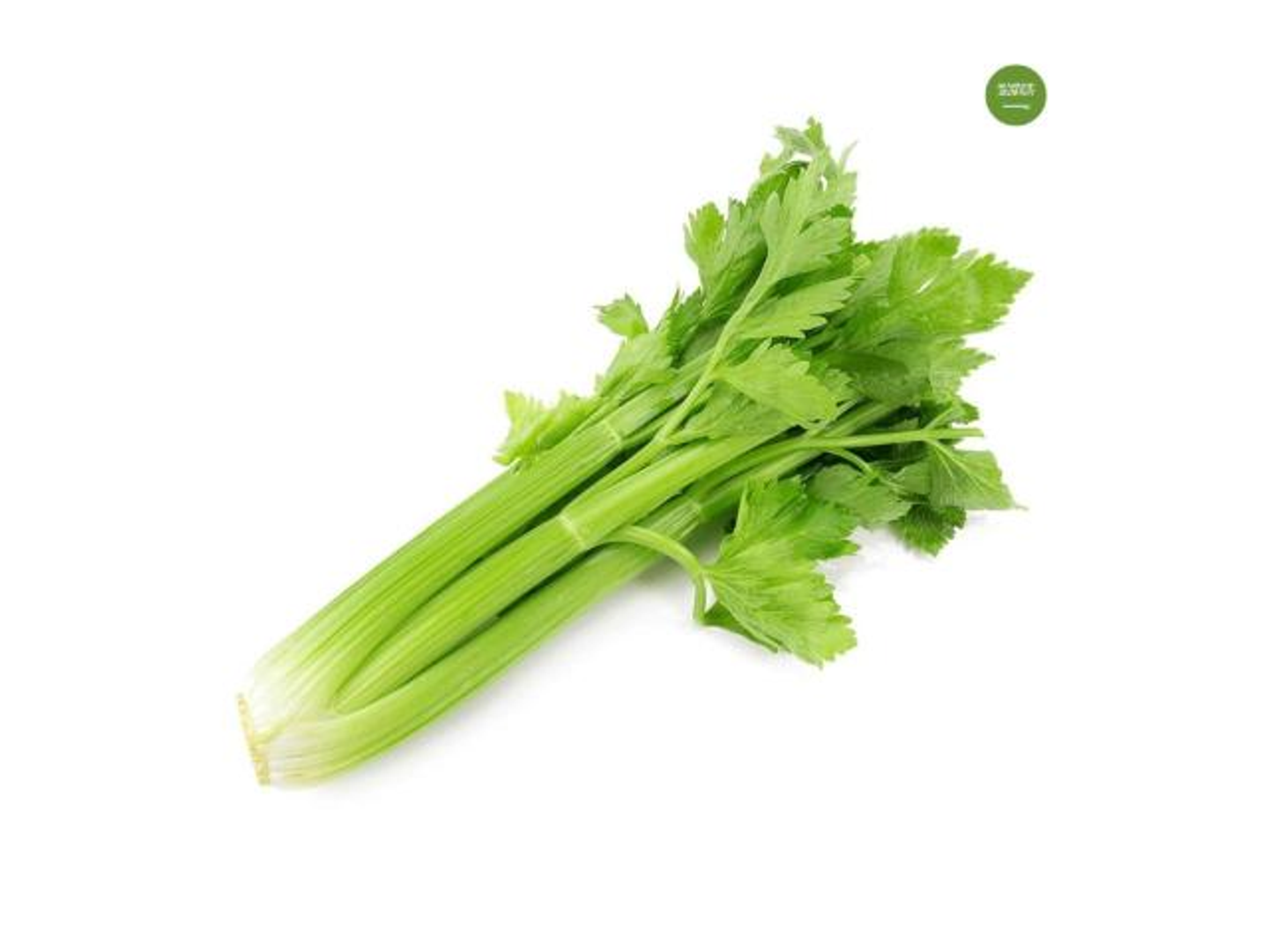 Celery - Stalk
