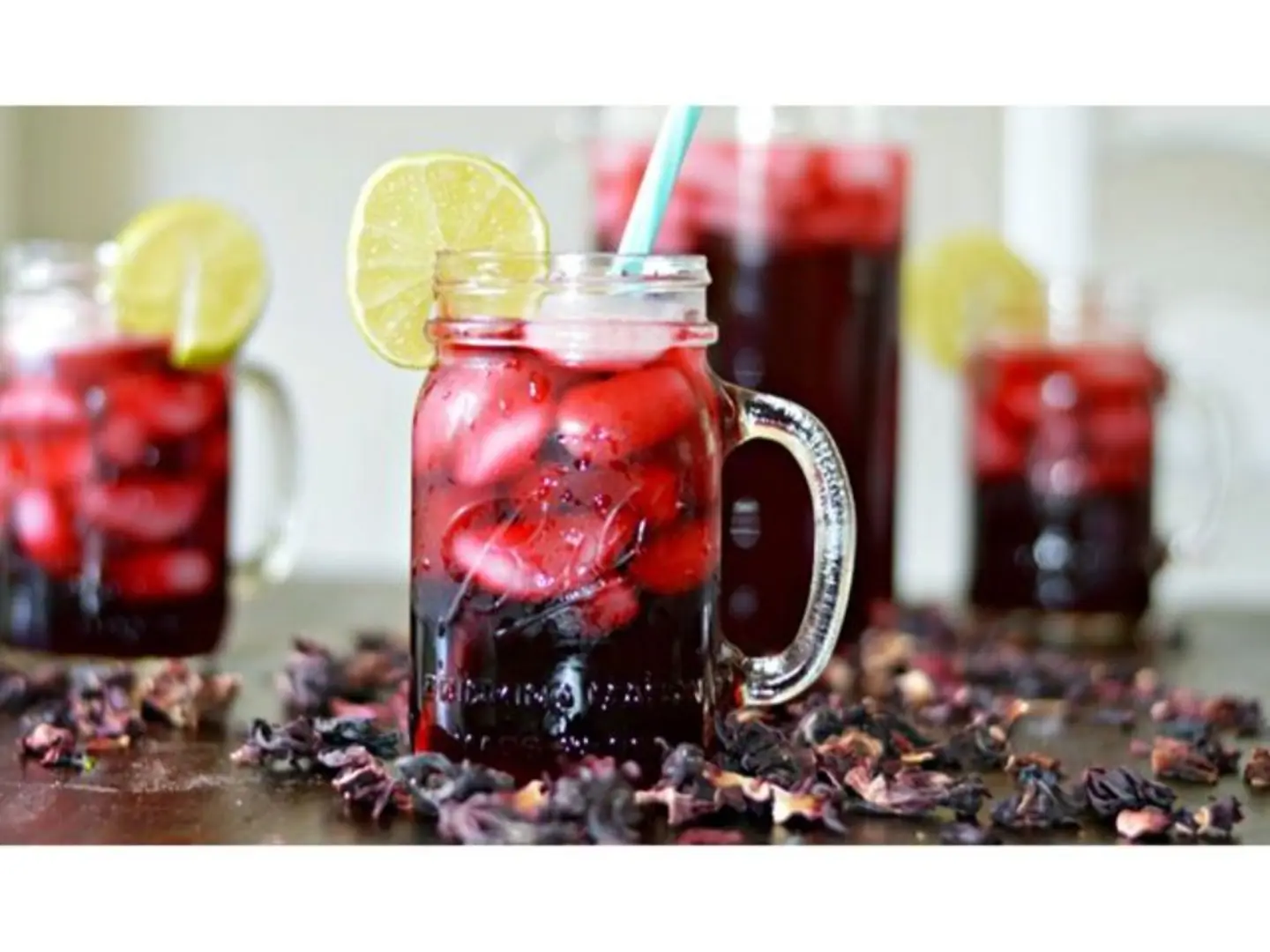Cold Hibiscus - Small