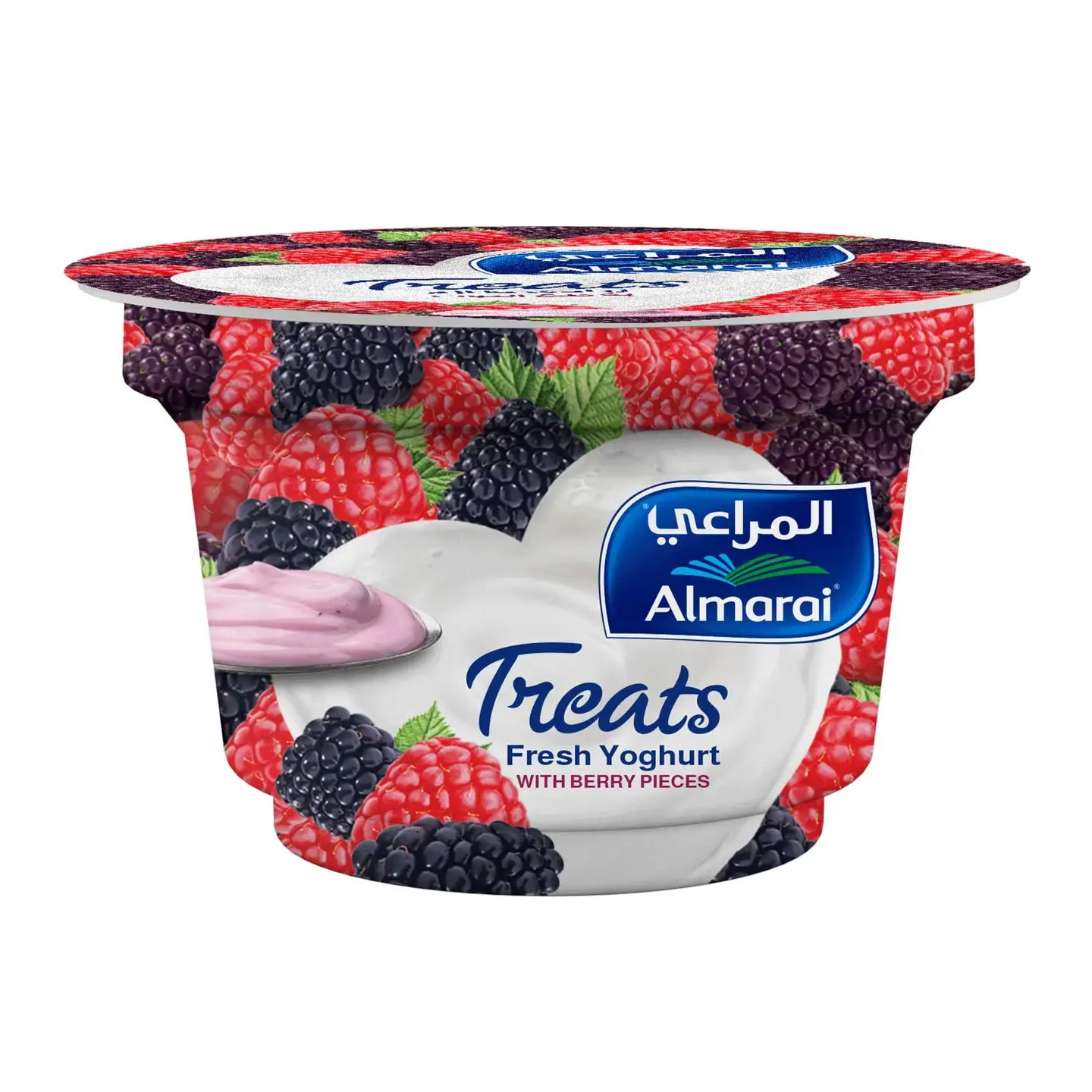 Berry Yogurt - Medium