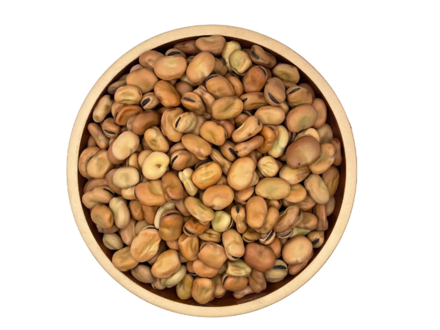 Egyptian Fava Beans - 1 Kg