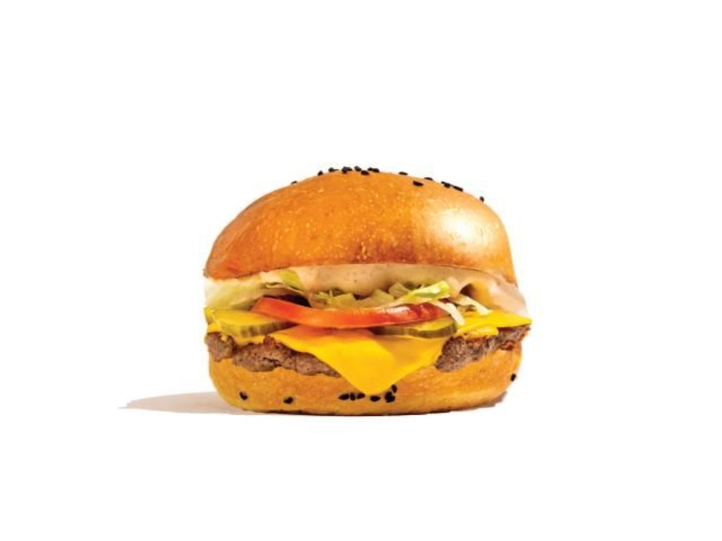 Double Chicken Burger - Regular