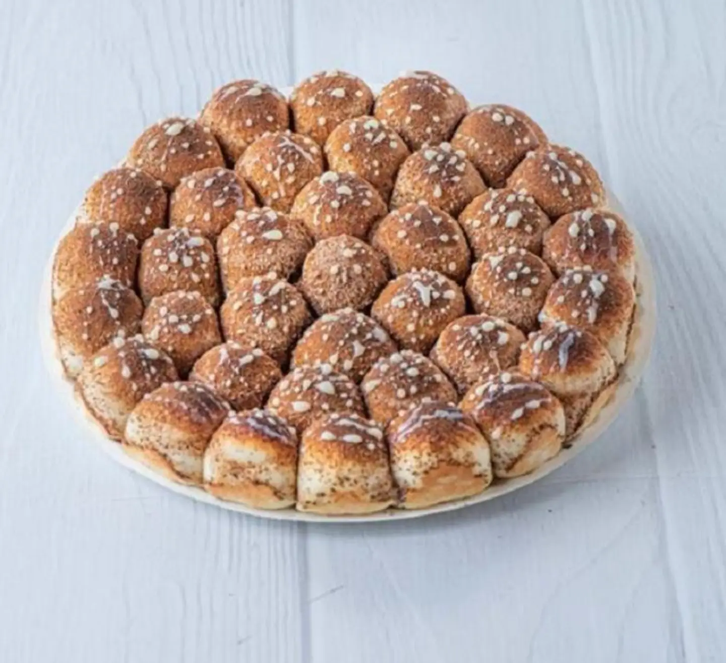 Cinnamon Khaliah Nahl - Small