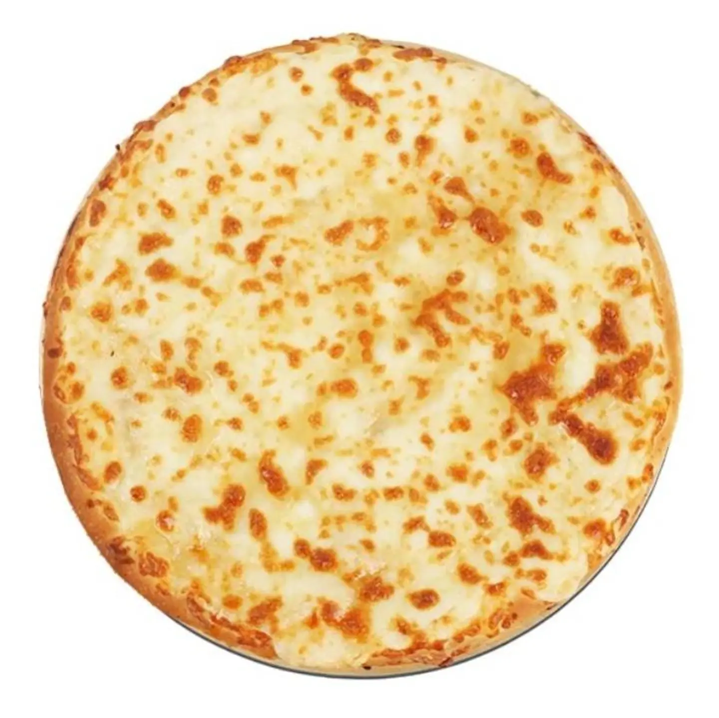 Ash Albulbul - Small