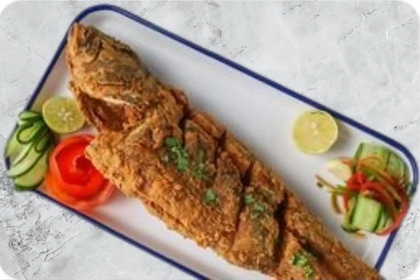 سمك الهامور - من 600 جرام الى 800 جرام