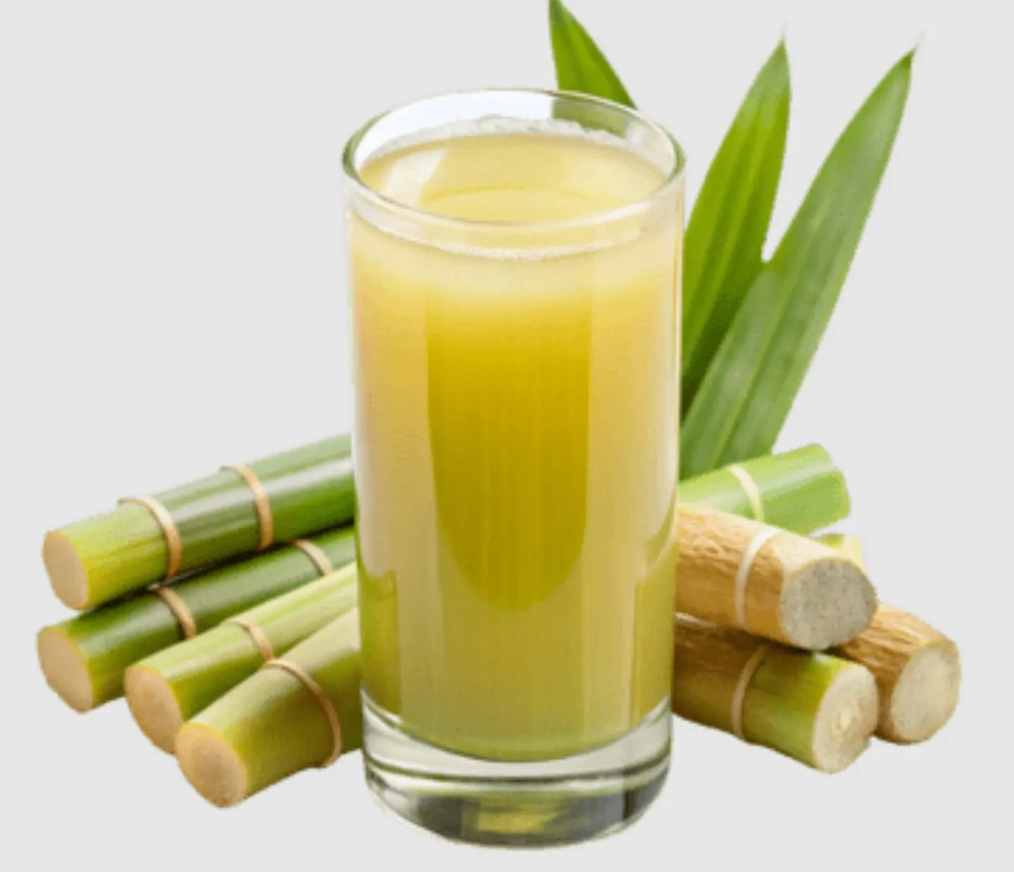 Sugarcane Ginger - Medium