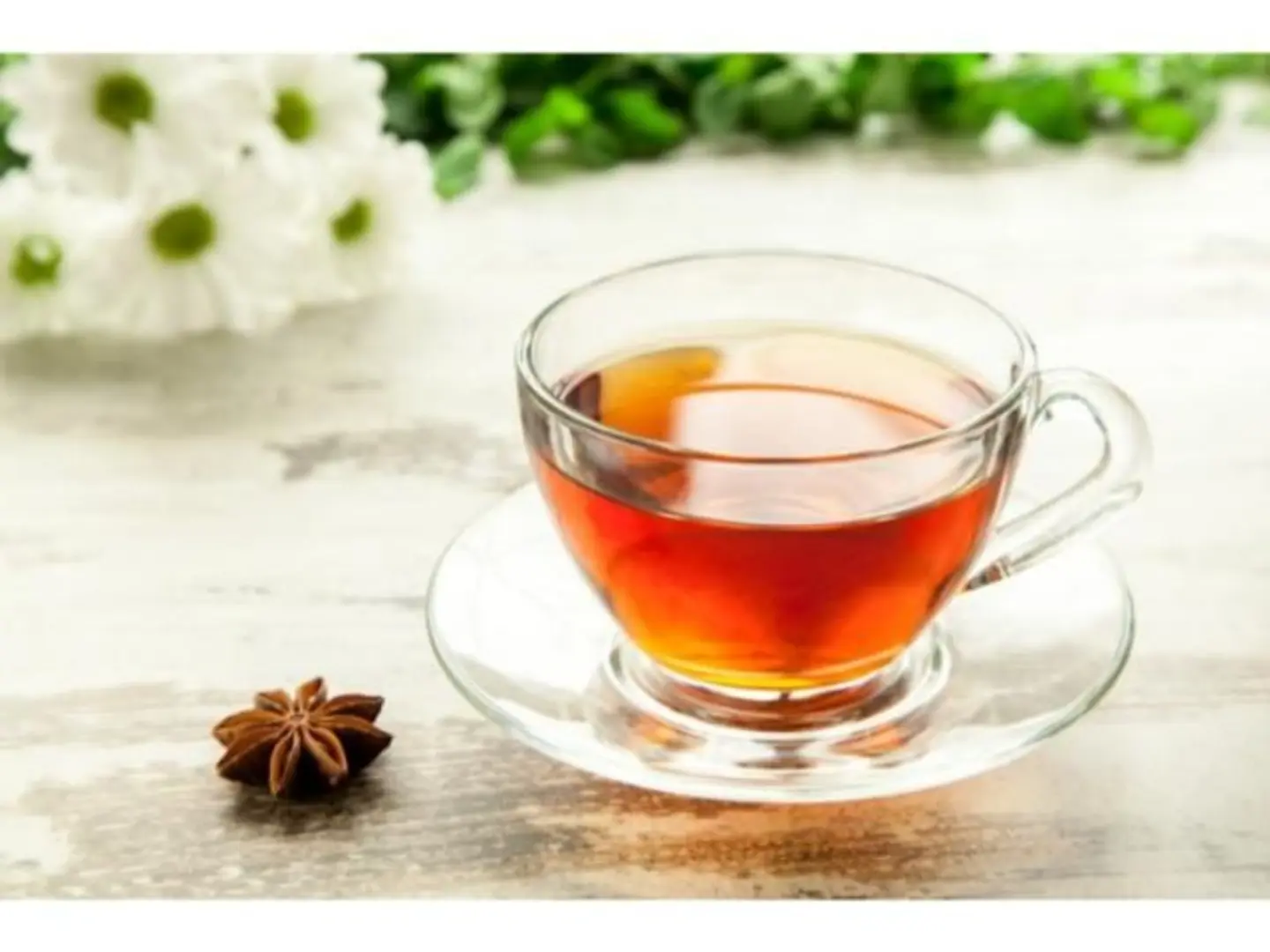 Anise - Medium