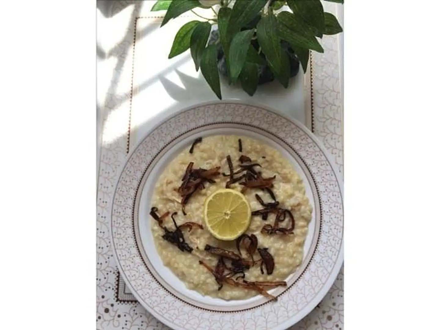 جريش - كبير