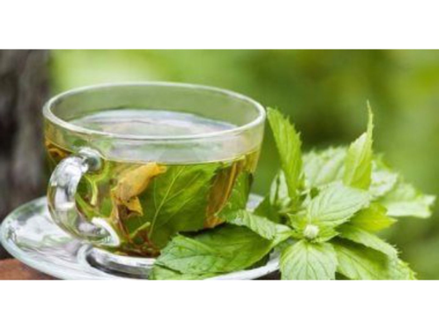 Green Tea Mint - Glass Cup