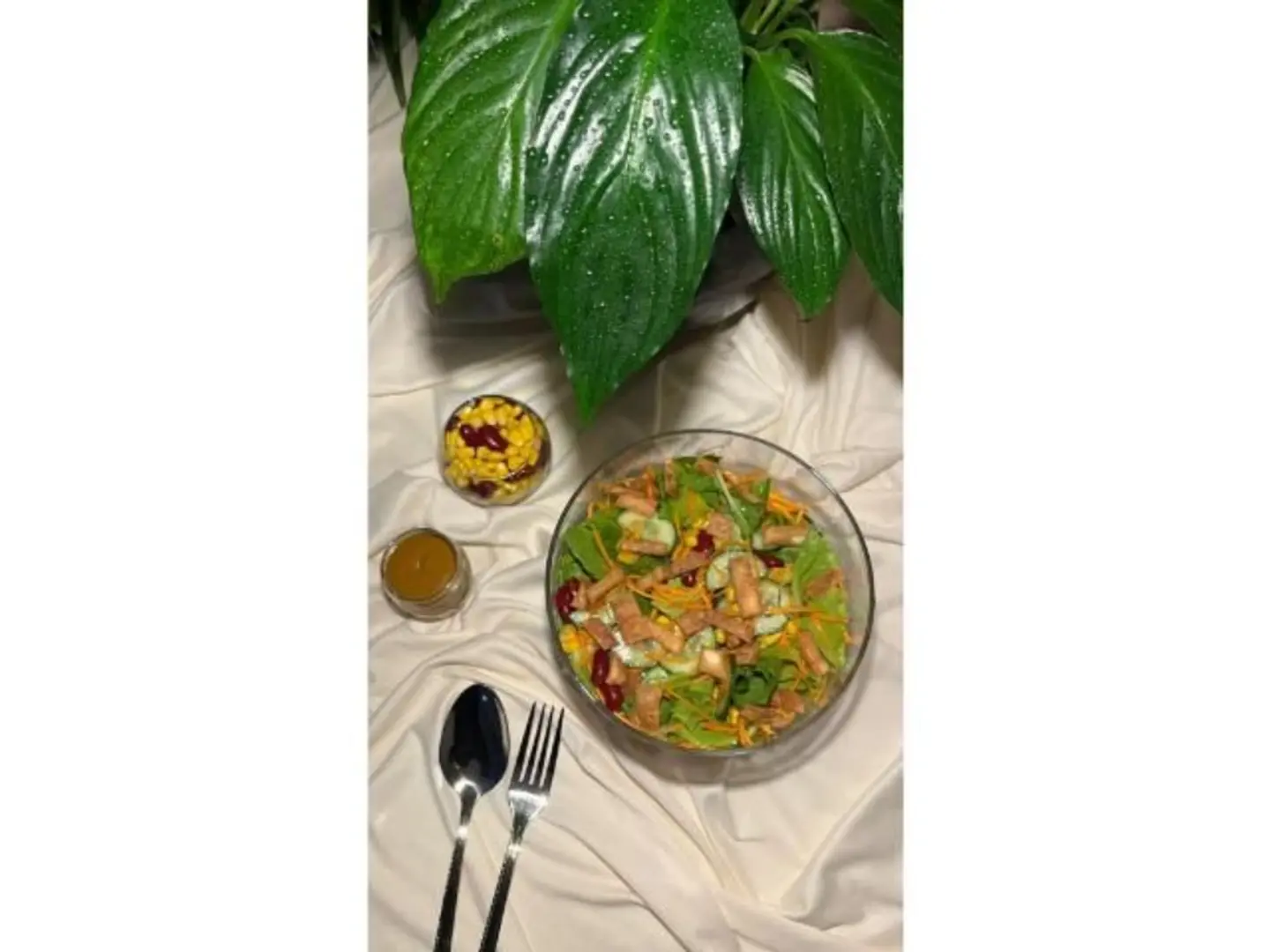 سلطة سمبريرو - صغير