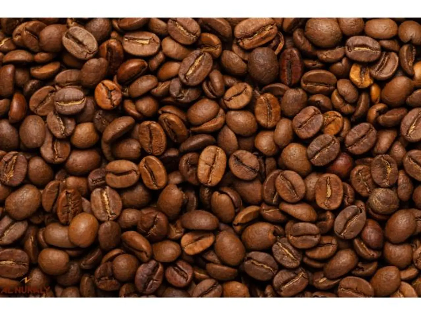 Medium Roasted Brazilian Coffee Beans First Grade - 250 Grams