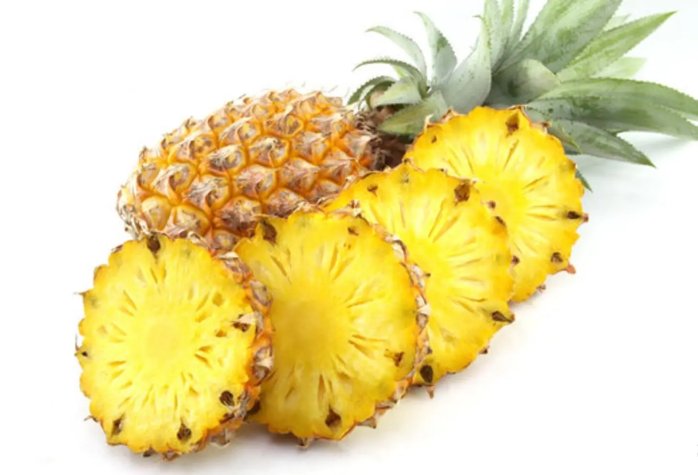 Pineapple - Small