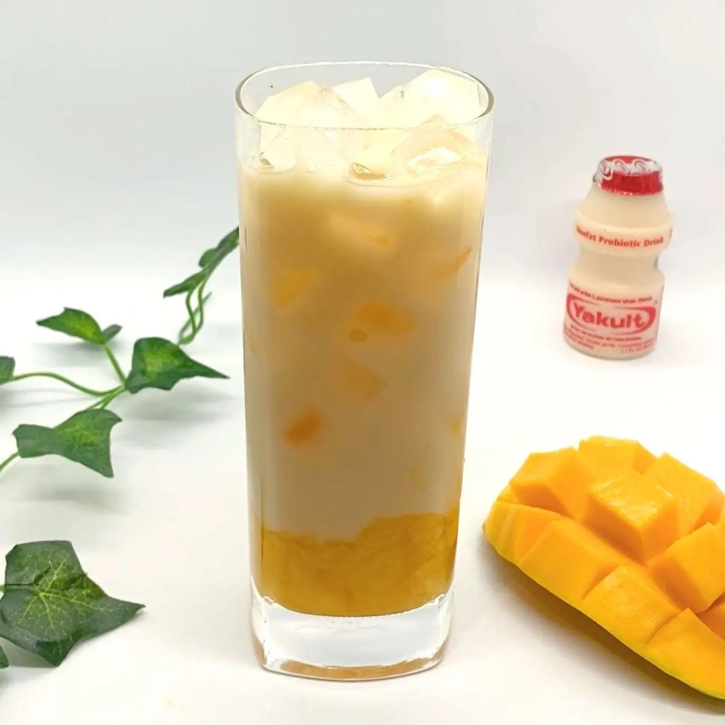 Mango Probiotic - 500 Ml