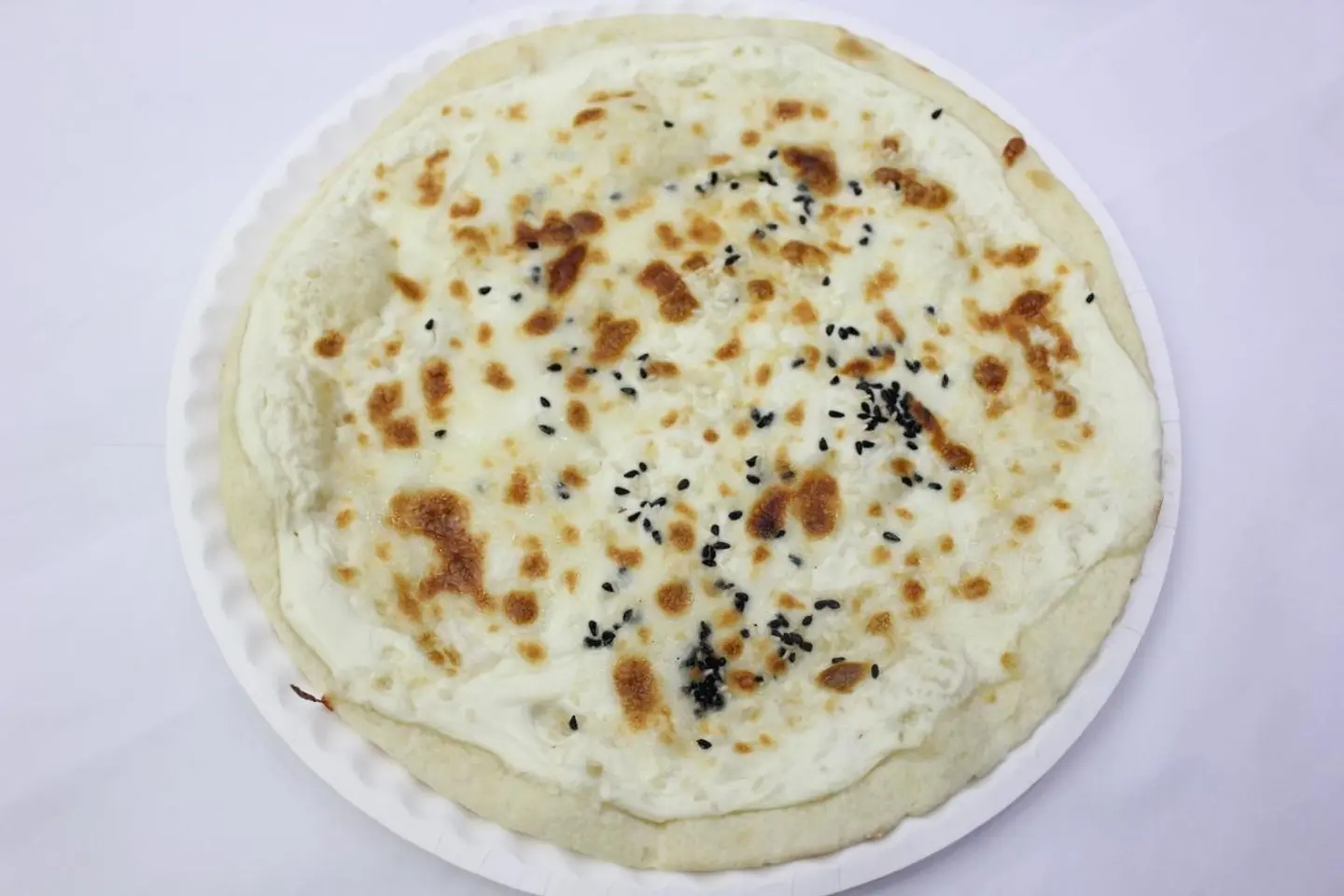 Plain Ash Albulbul - Small