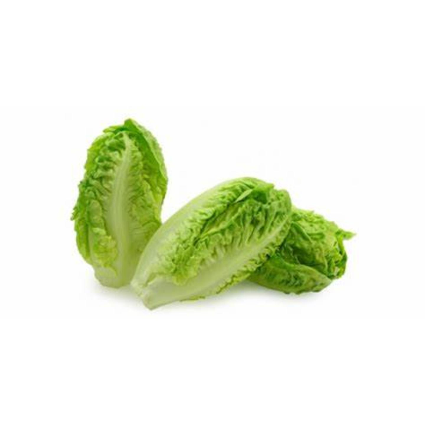 Long Lettuce - 250 G