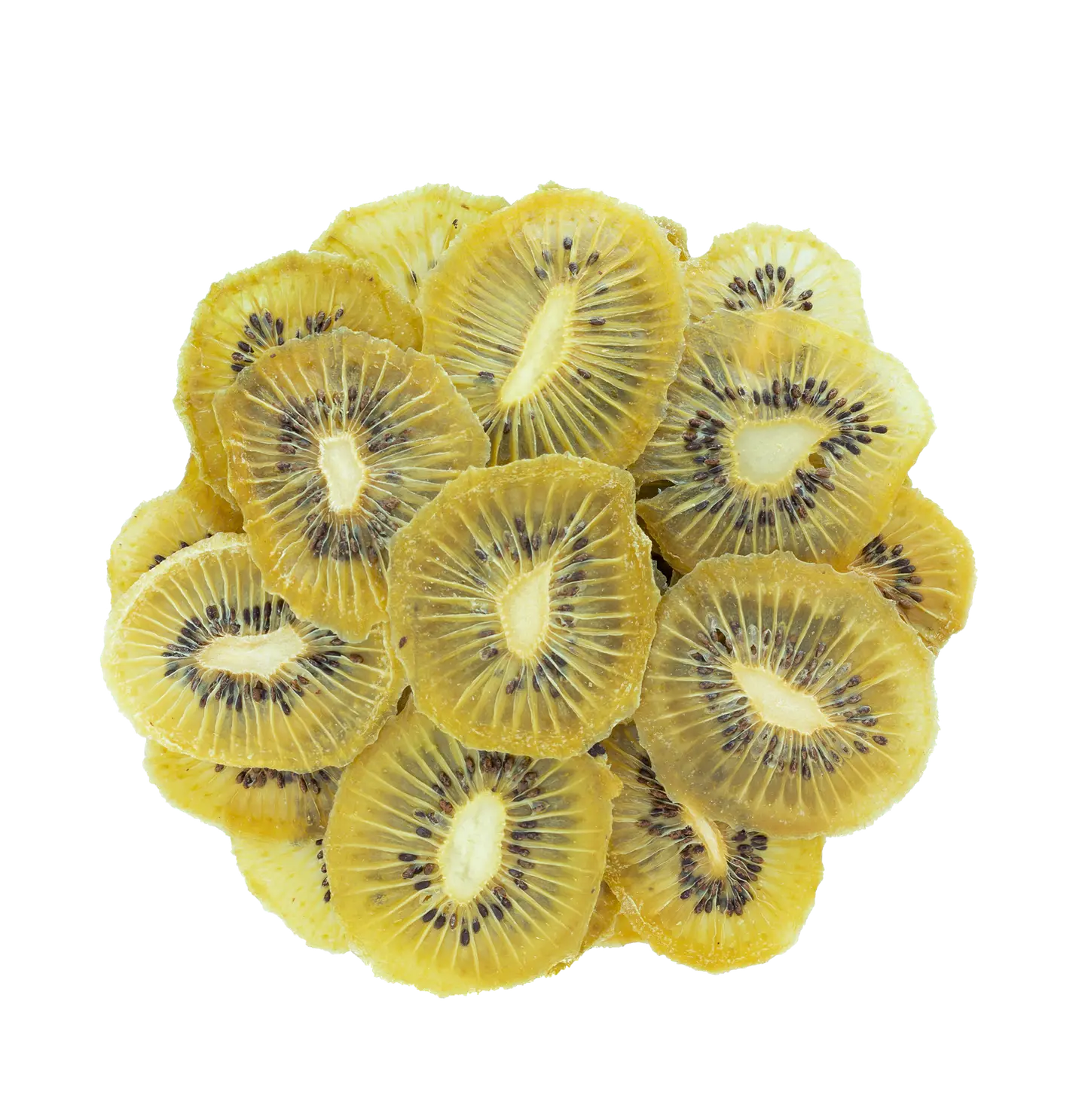 Kiwi - Small