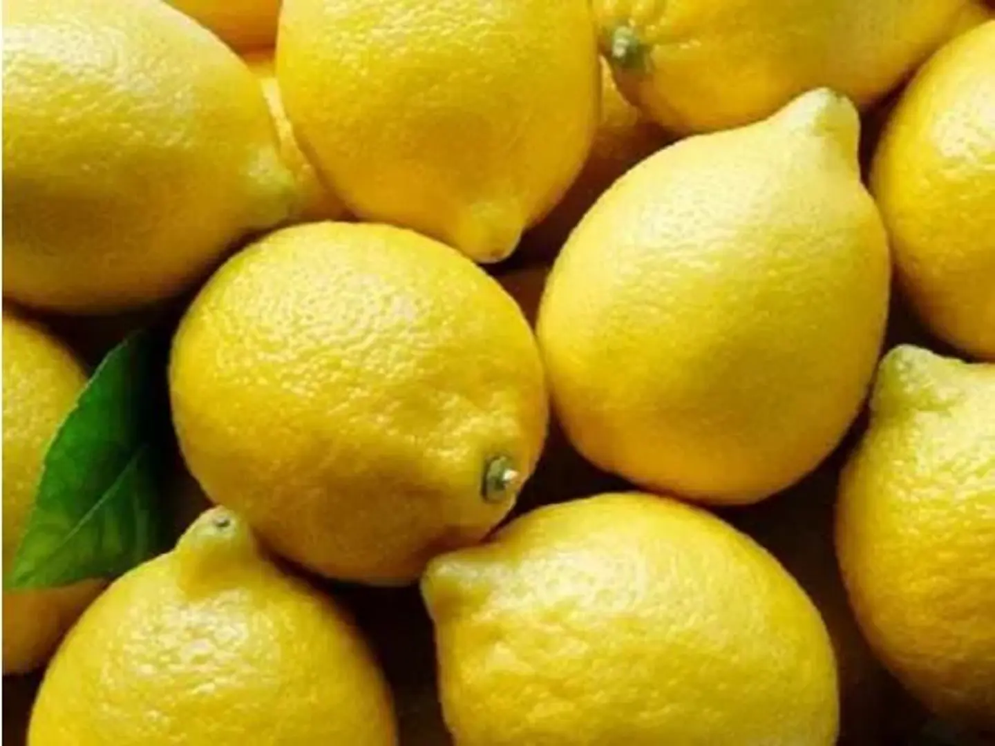 Lemon - 500 Gram