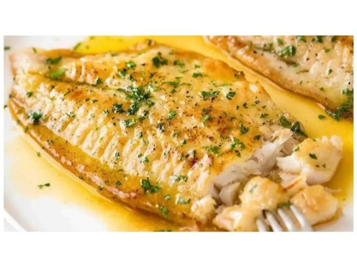White Sauce Fillet - Small