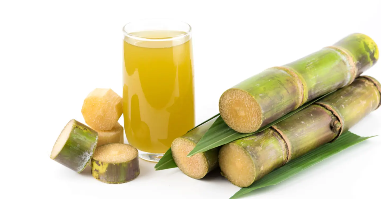 Sugar Cane With Lemon And Mint  - Medium