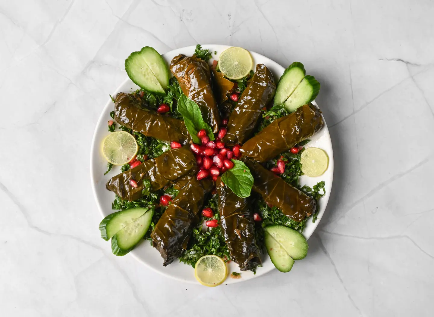 Grape Leaves Dish - Medium