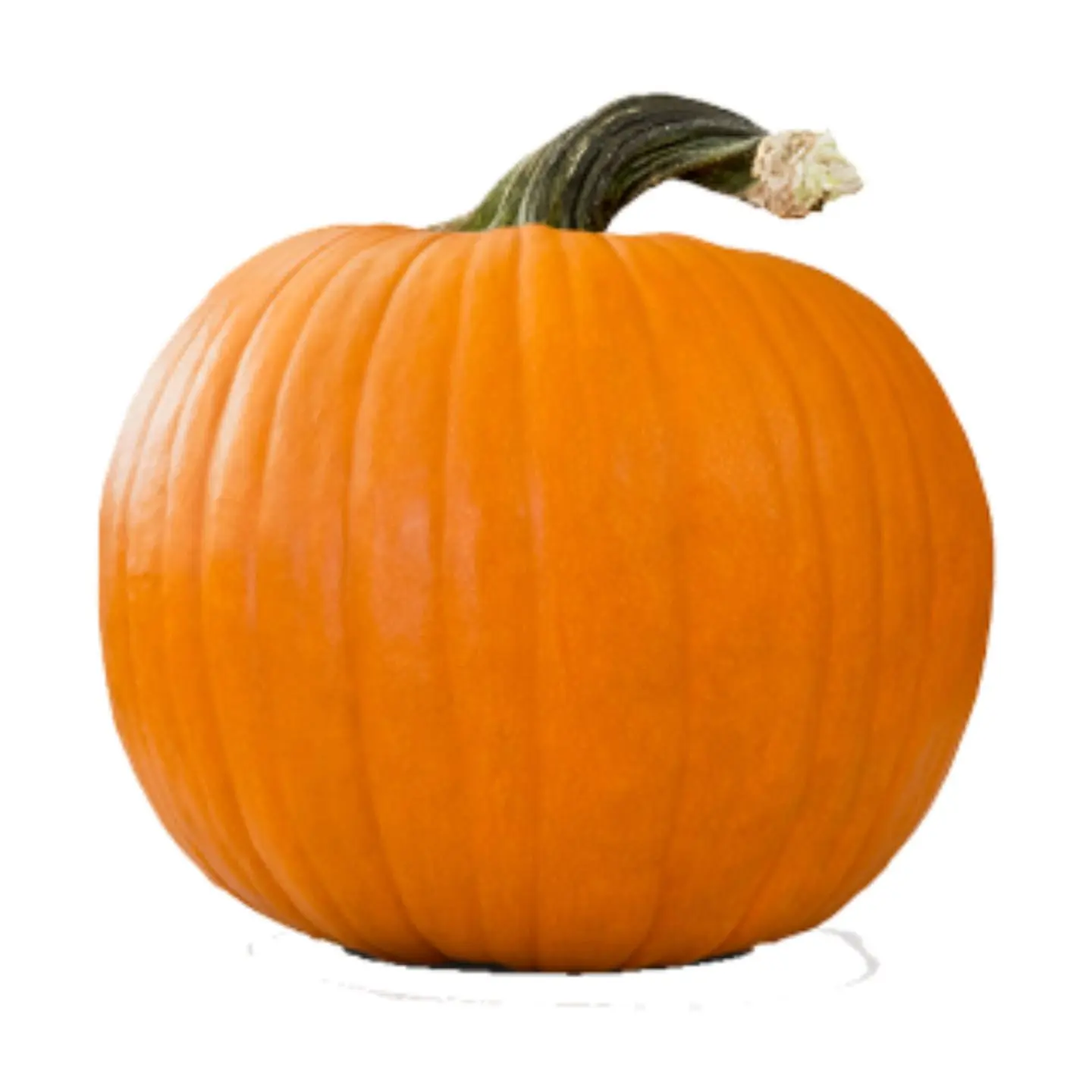 Orange Pumpkin - 250 G
