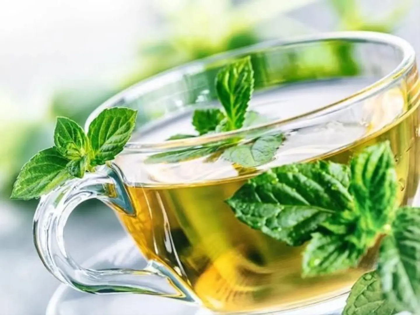 Mint Tea Cup - Medium