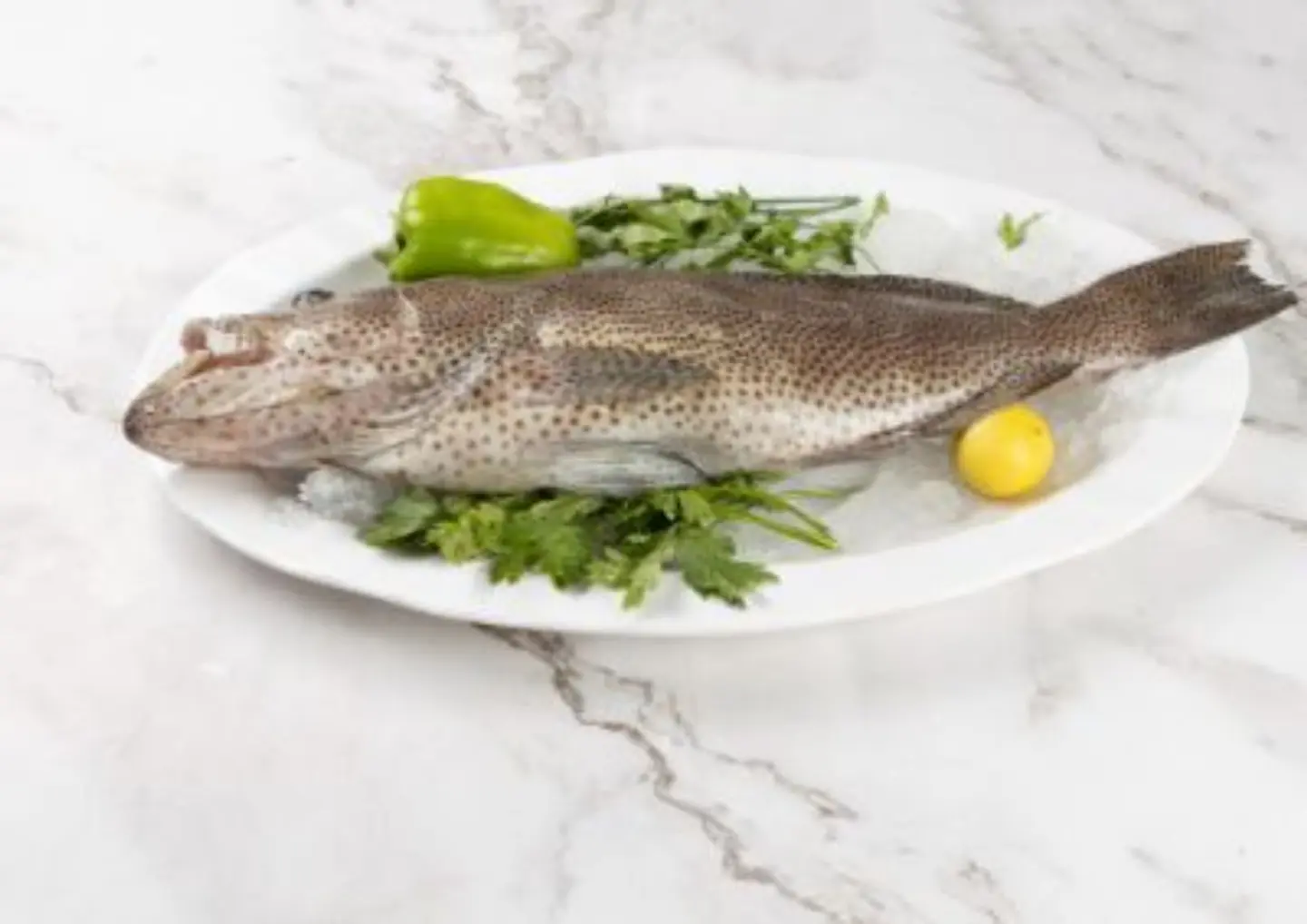 هامور - هامور-500 جرام