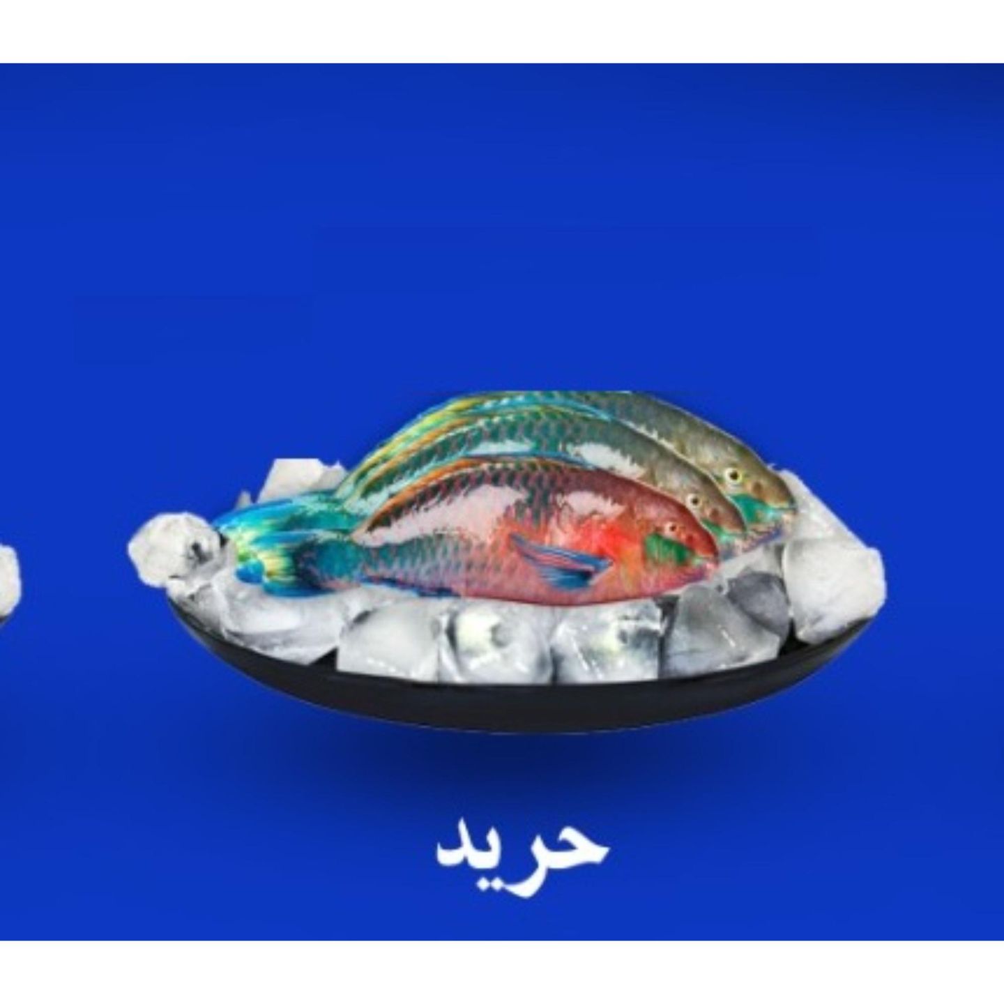 سمك حريد  - مقلي