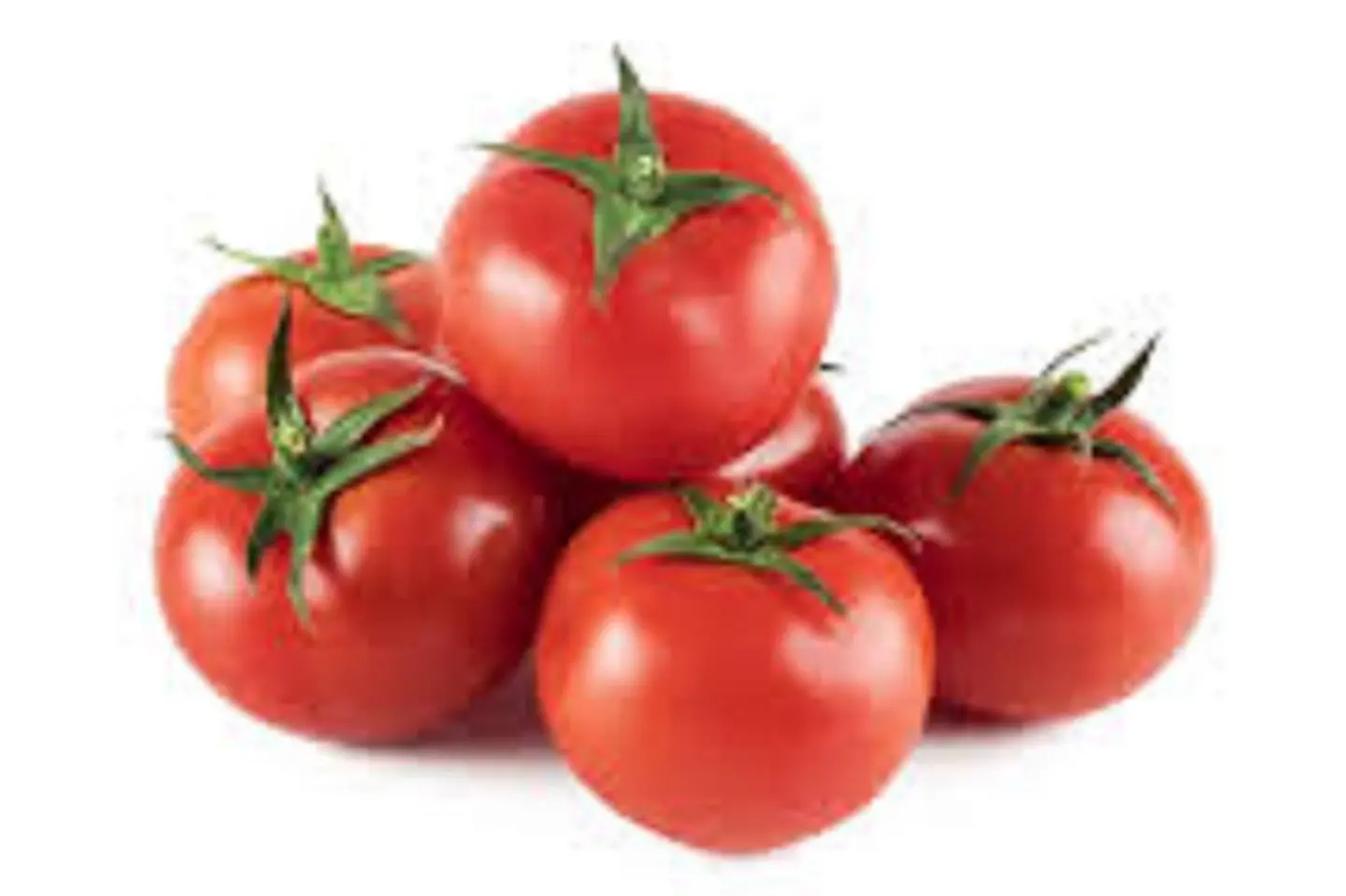 Tomatoes - Kilo