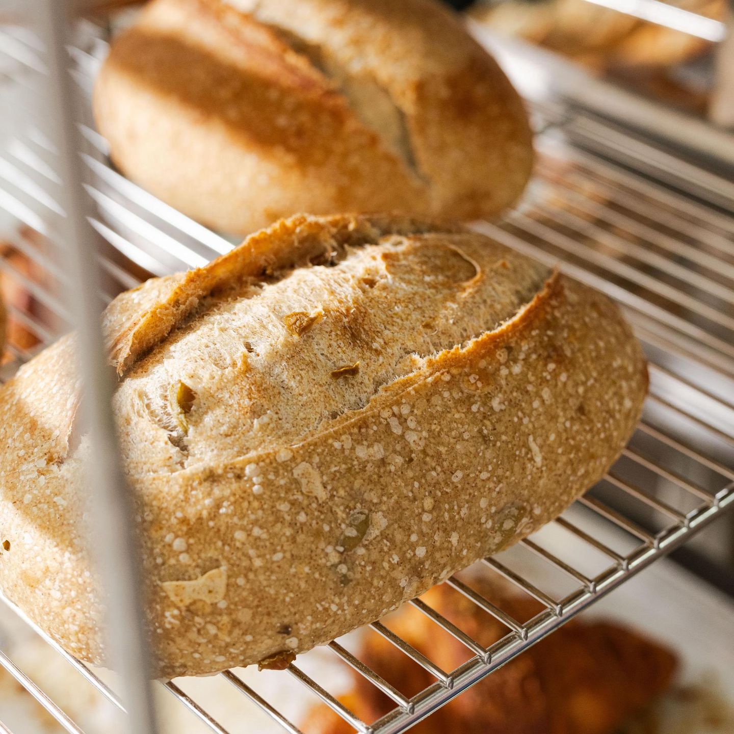 Sprouted Whole Wheat - 450 G