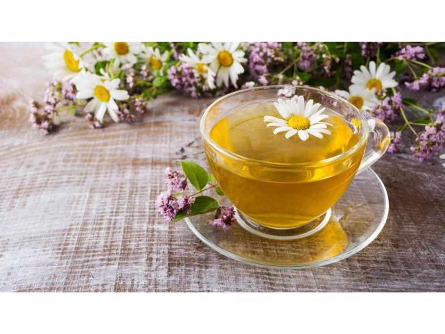 شاهي البابونج - كوب ورق صغير