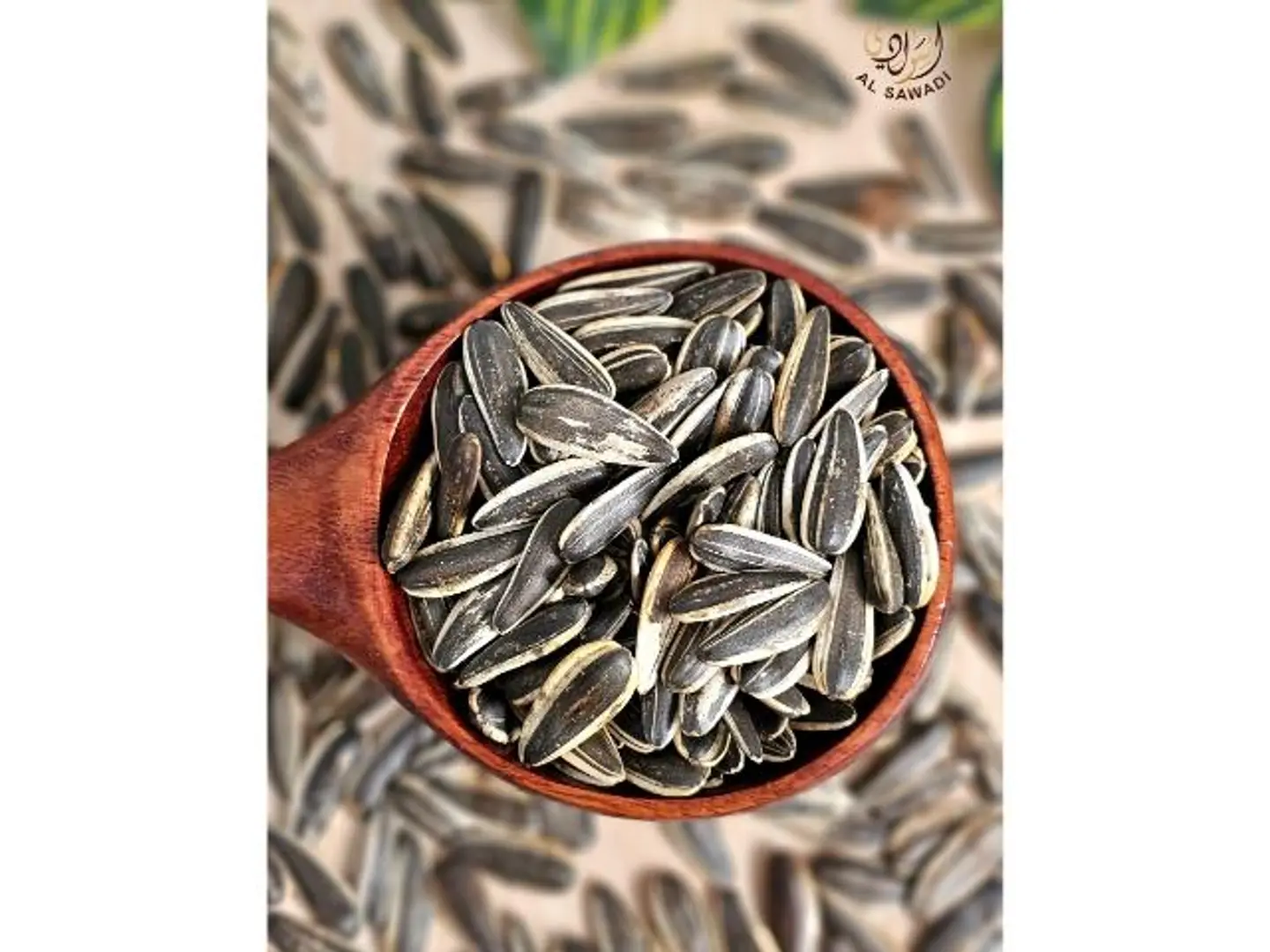 حب شمسي محمص ساده - 500 جرام