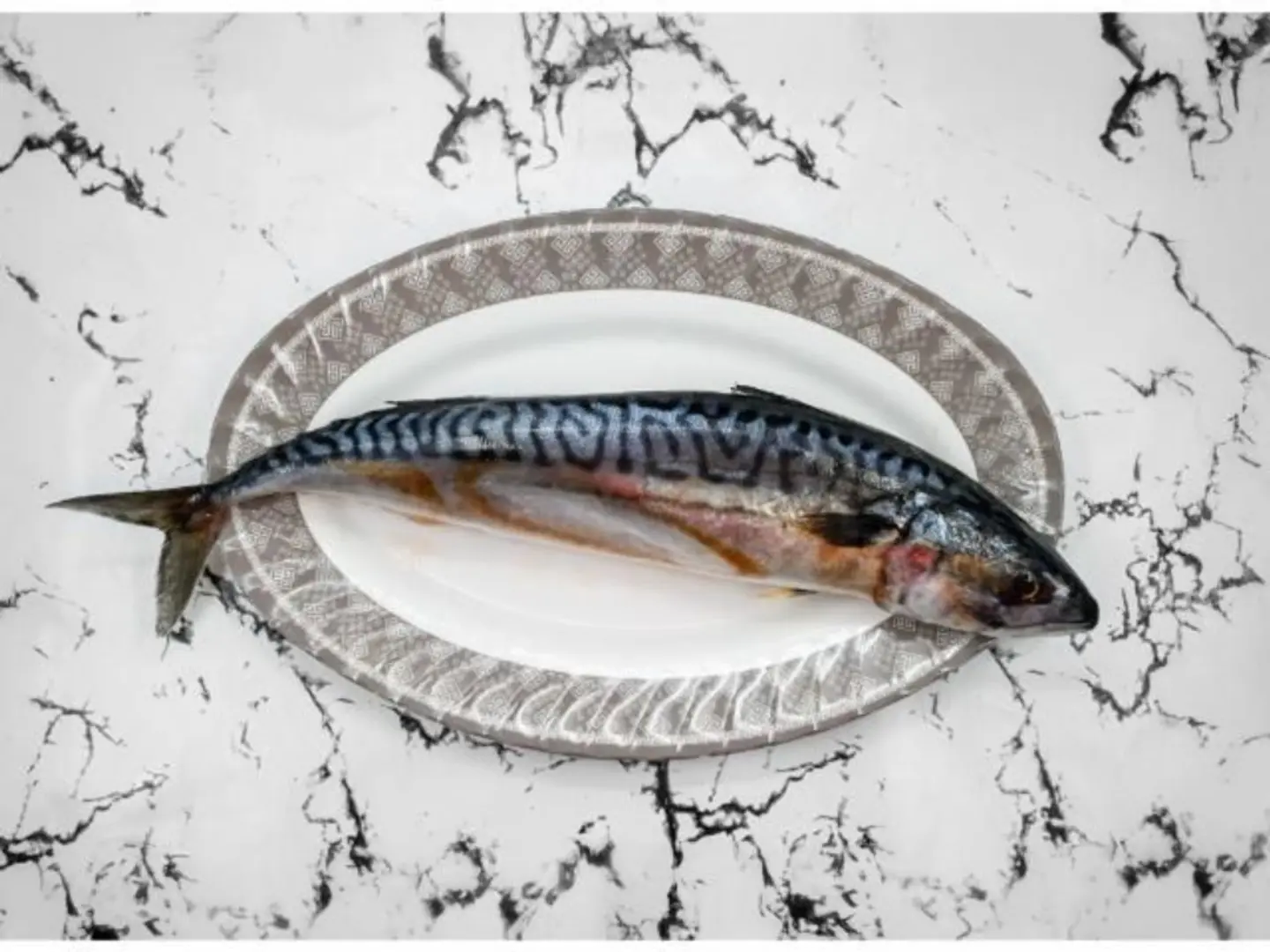 Mackerel - 500 Grame