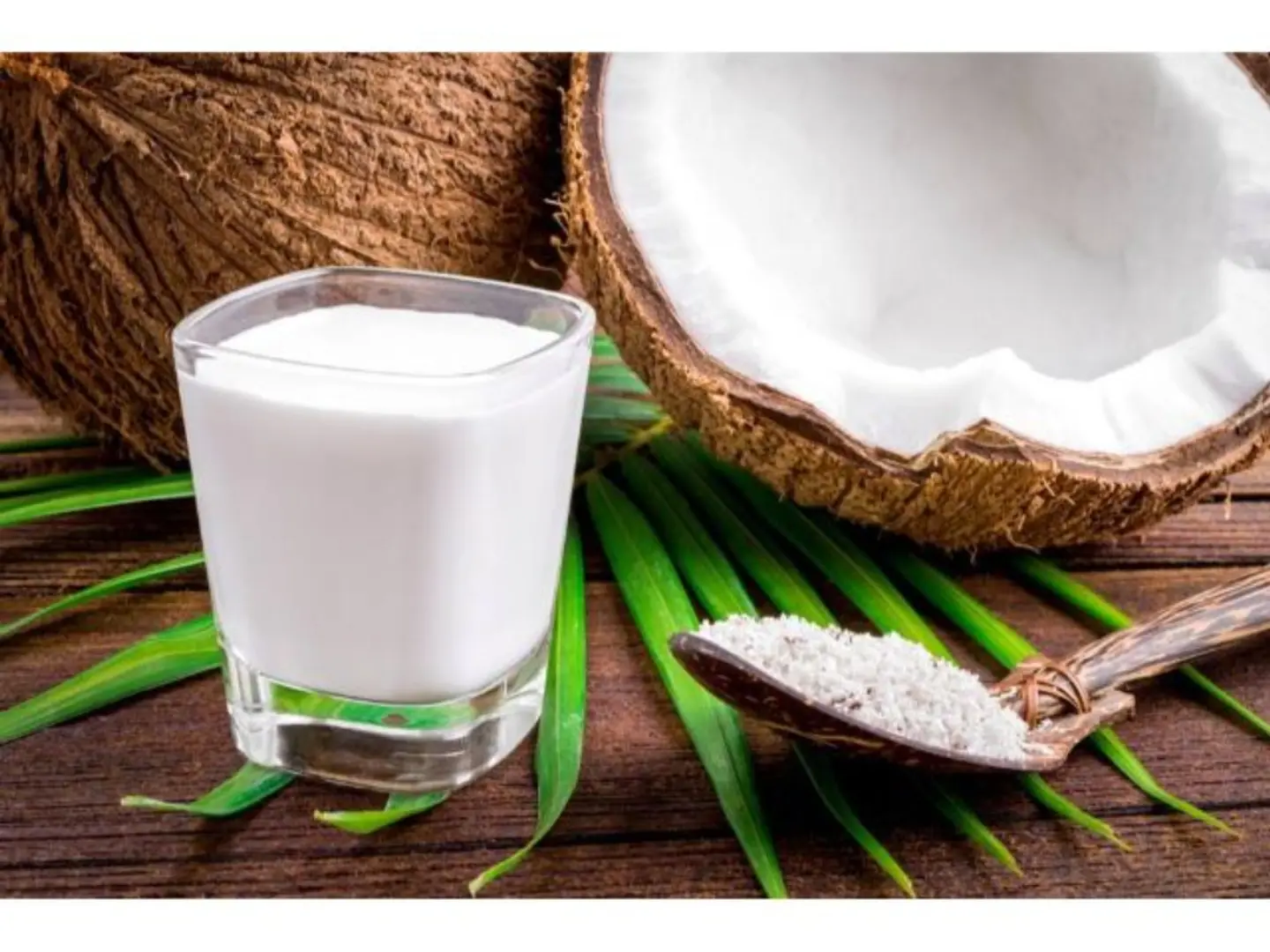 Egyptian Sobia - Medium