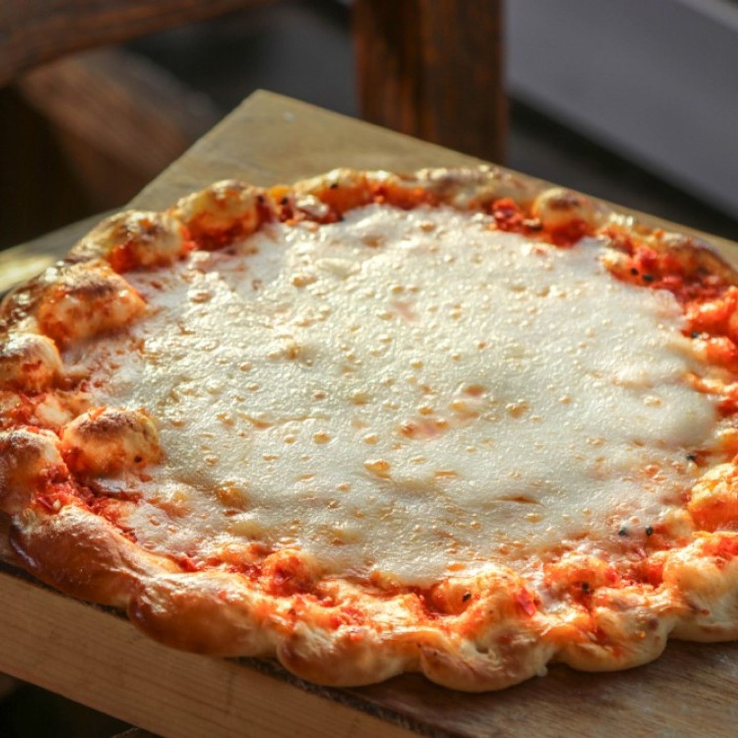 Cheese And Cold Sauce - Large