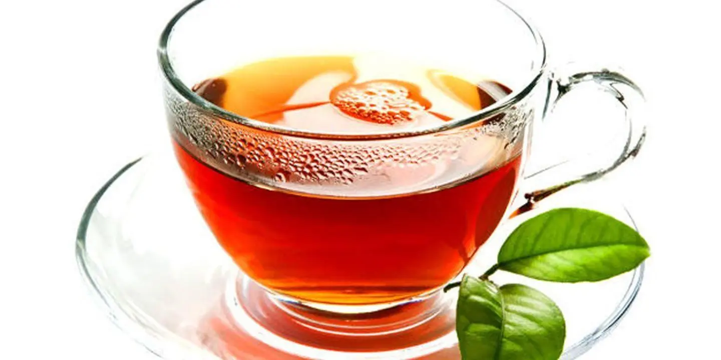 نعناع ساده - صغير