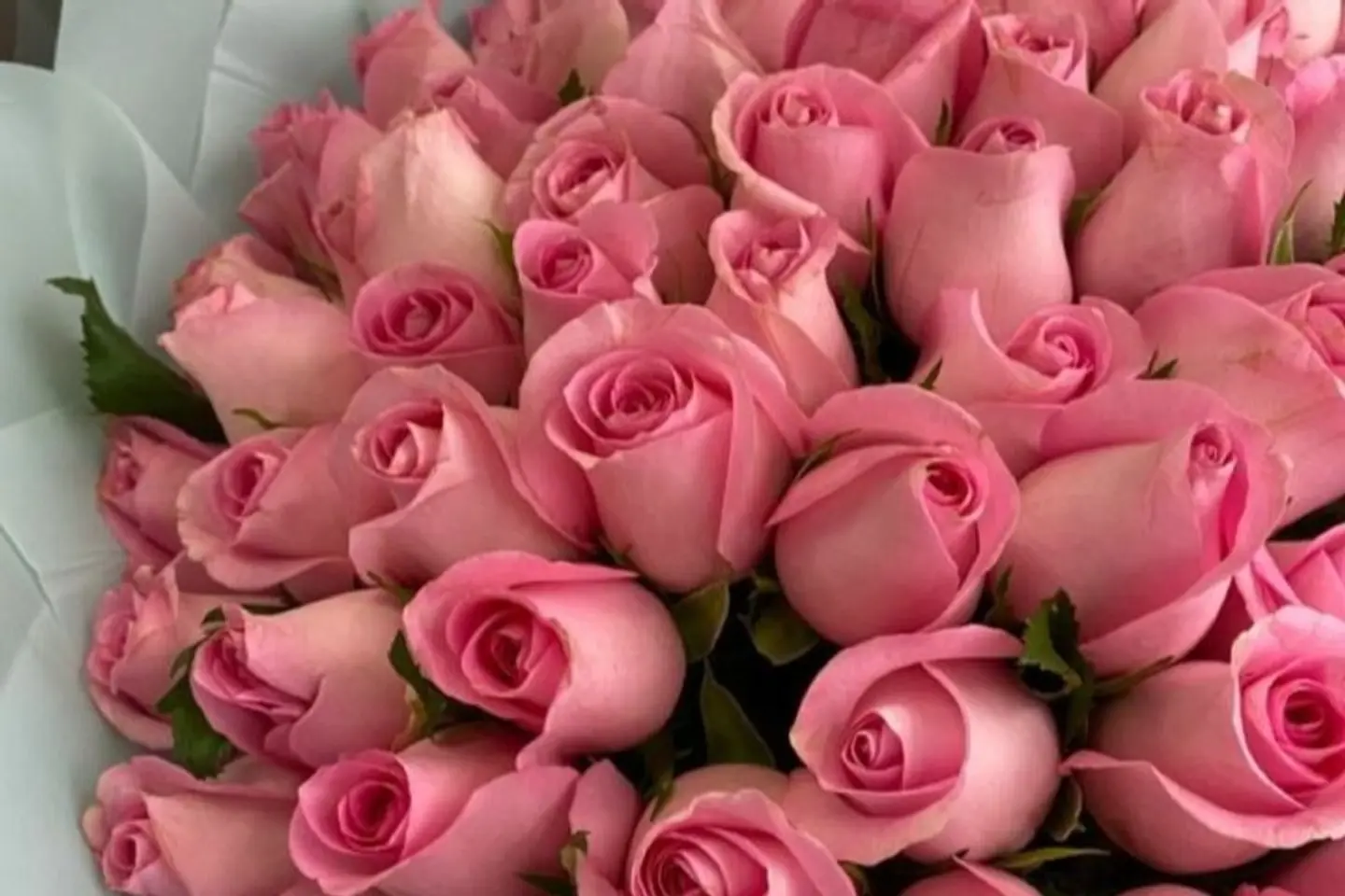 Pink Rose Bouquet - Pink Rose Bouquet 20 Rose