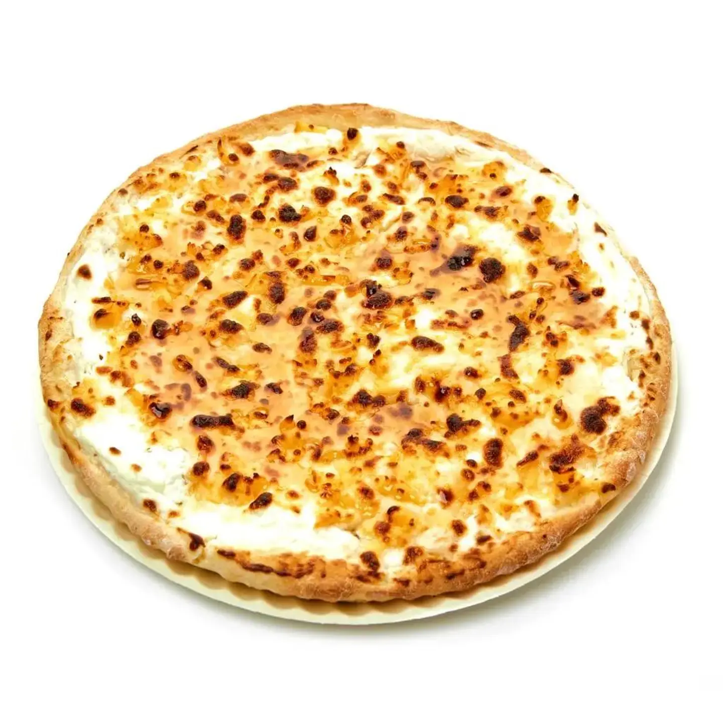 Ash Albulbul - Small