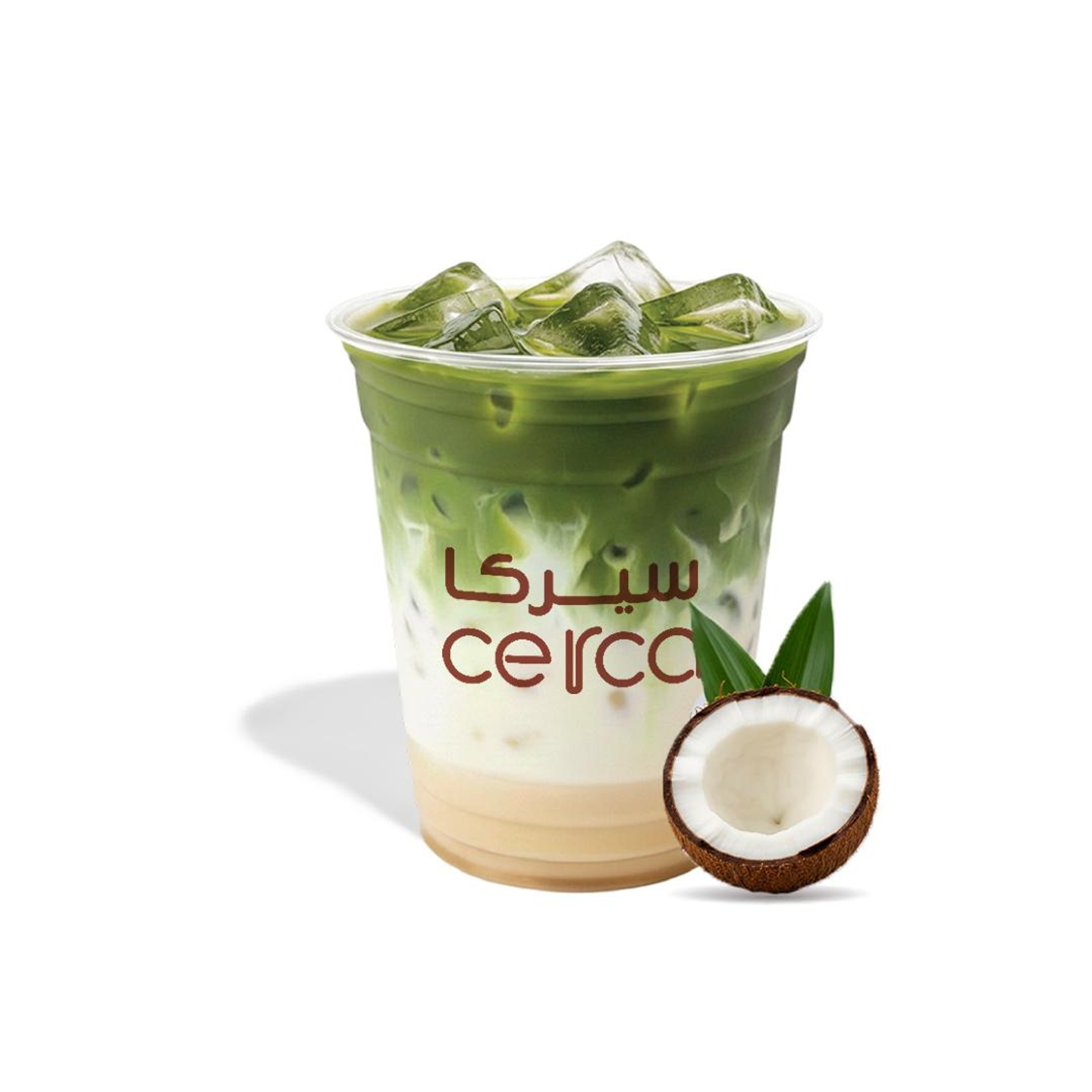 آيس ماتشا سيغنيتشر - وسط