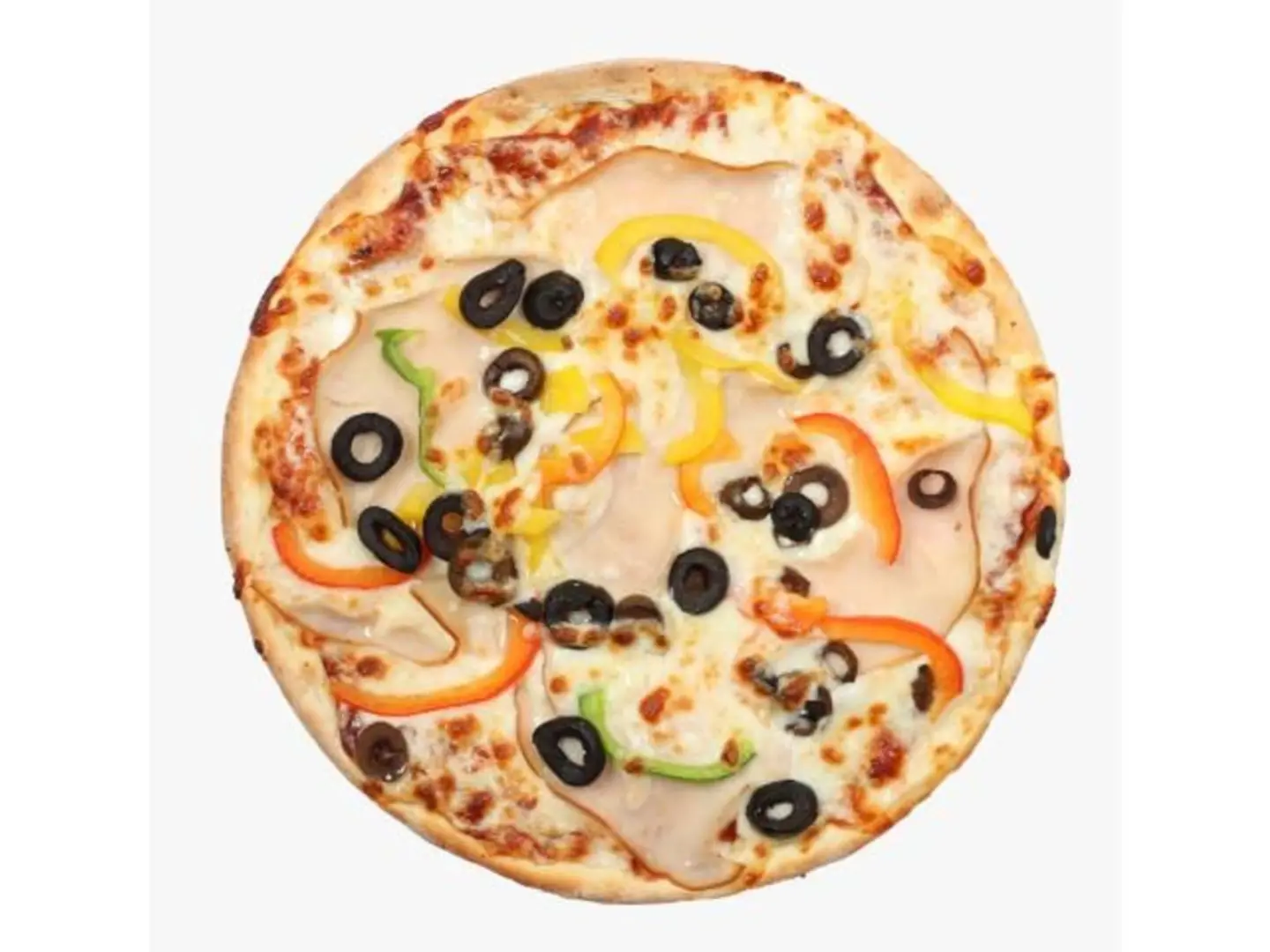 ديك رومي - صغير