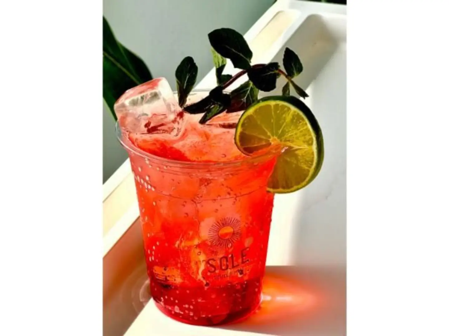 ايس تي خوخ - كبير