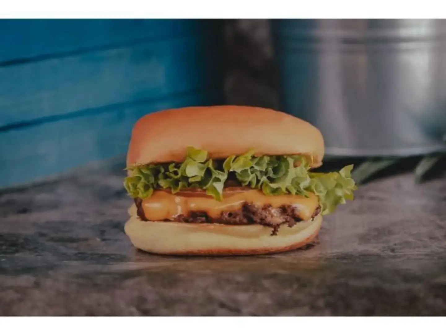 Charcoal Grilled Chicken Burger - Regular