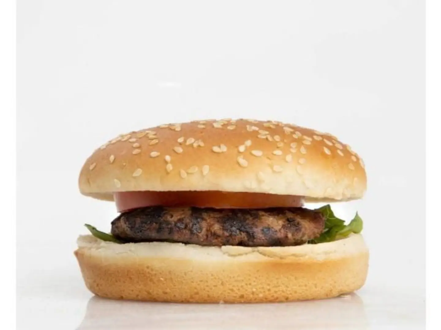 Frozen Beef Burger - Sandwich