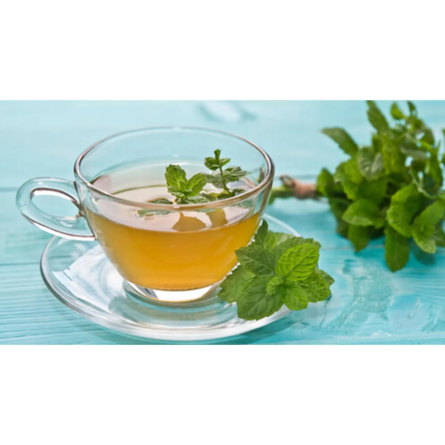 Taif Mint - Cup