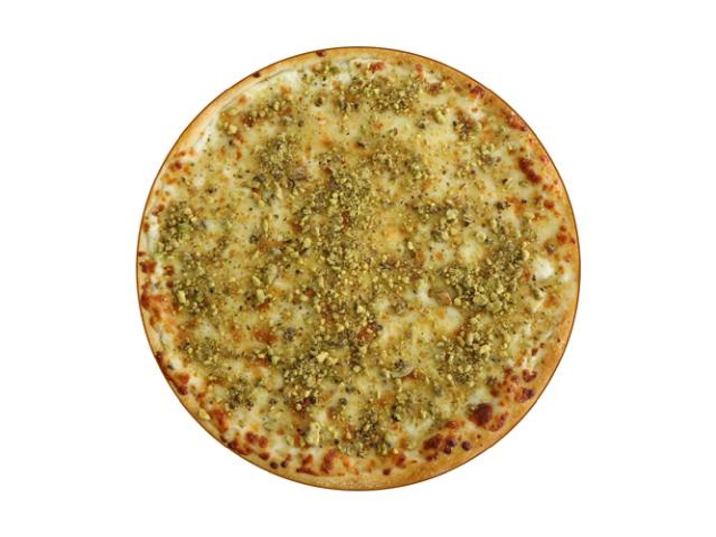 Ash Albulbul With Nuts - Medium