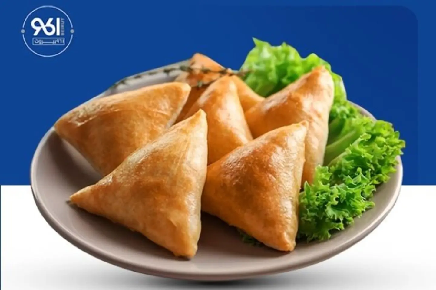Samosa - Chicken 6 Pieces