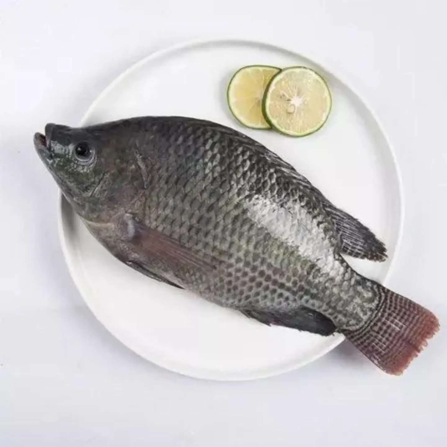 Tilapia Fish - Fried