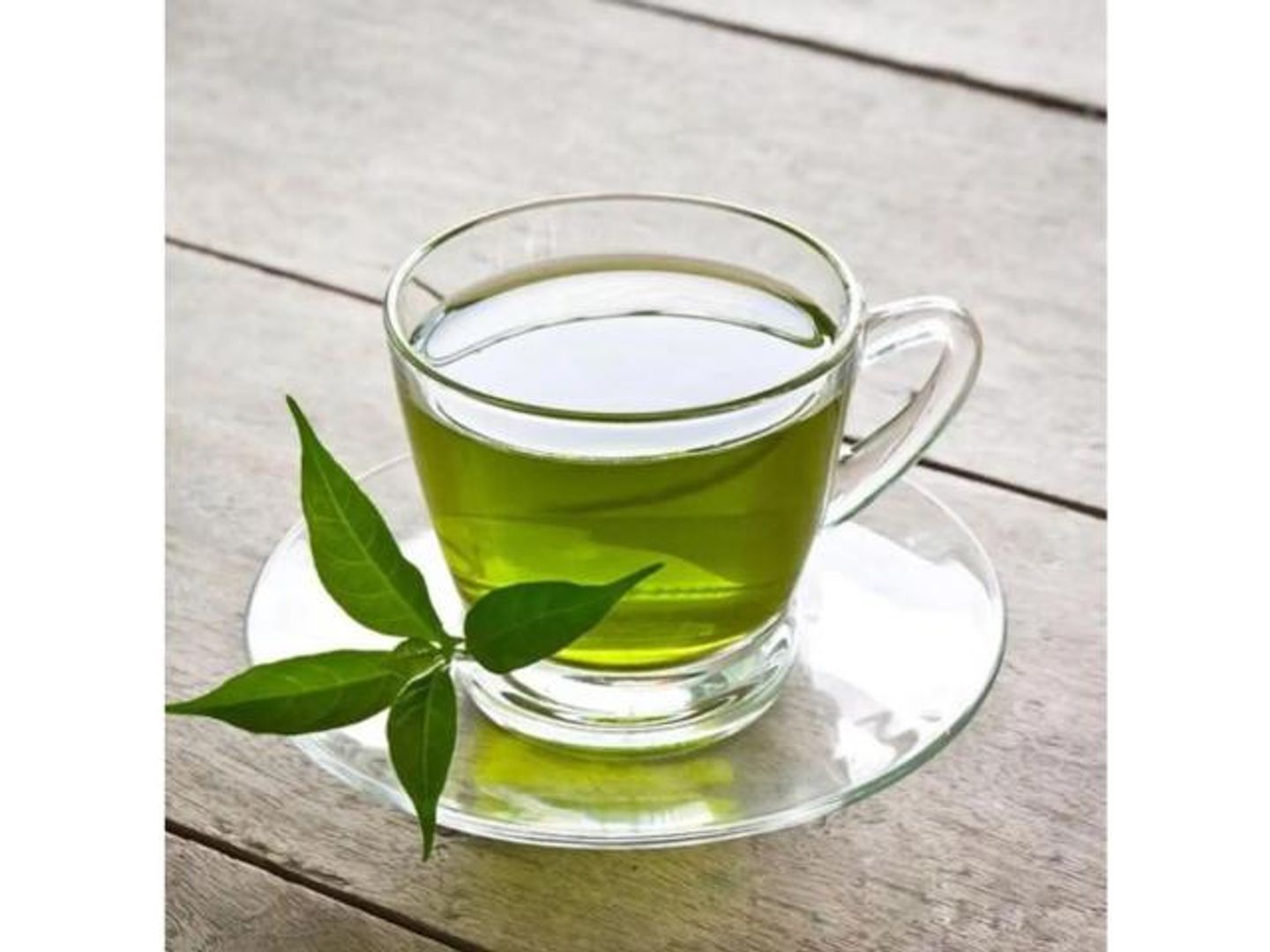 Basil Tea Cup - Small