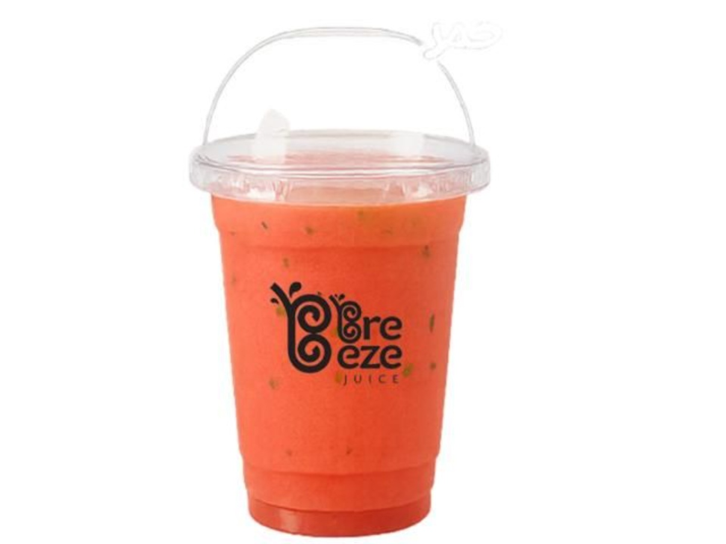 Watermelon Mint - Small