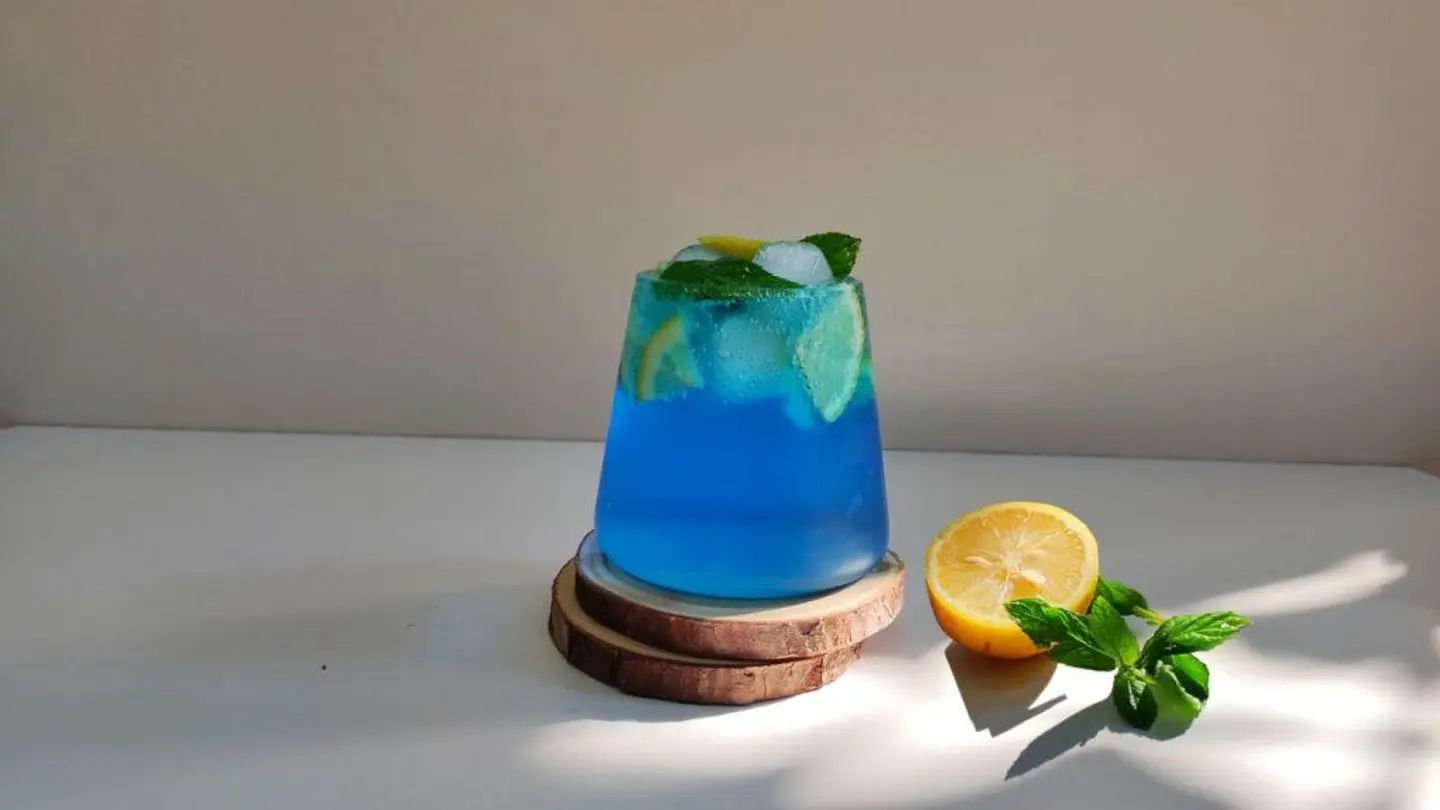 سجنتشر فيلو - صغير