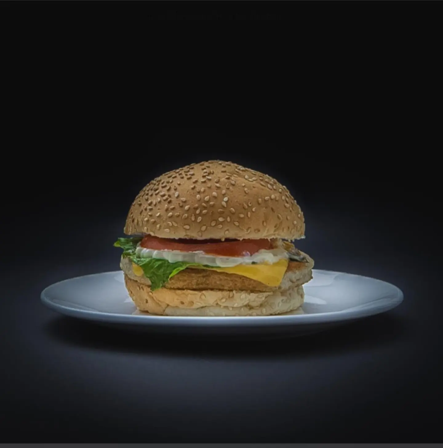 Chicken Burger Sandwich - Sandwich